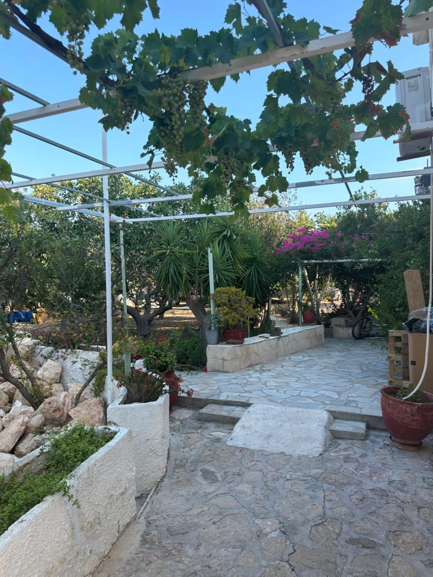 Апартаменты Solmar Aegina With Private Pool - Jacuzzi Khloi Экстерьер фото